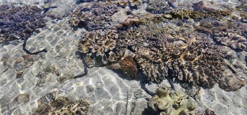eagles nest beach resort samal island