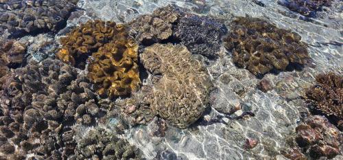 eagles nest beach resort samal island
