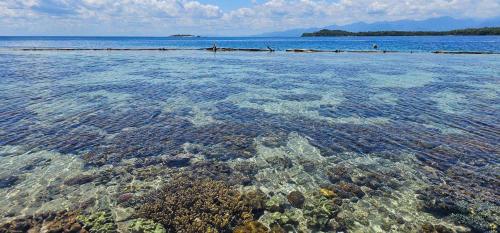 eagles nest beach resort samal island