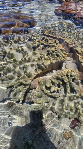 eagles nest beach resort samal island