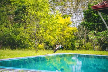 Magalle Wewa Villa By Tequila Holidays,,3 star