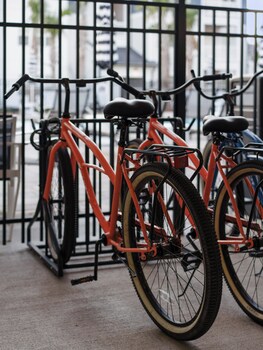 luxurious apartments pool gym bikes