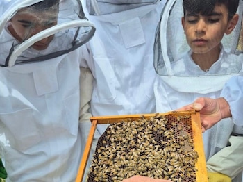 bee planet guest house
