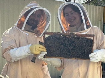 bee planet guest house