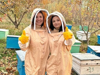 bee planet guest house