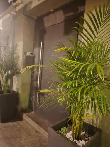 dovrinn boutique aparthotel downtown