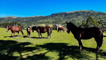Villa Das Araucarias - Urubici - Sc,,3 star