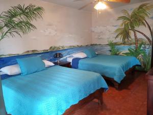 jungle beach hotel manuel antonio