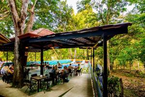 jungle beach hotel manuel antonio