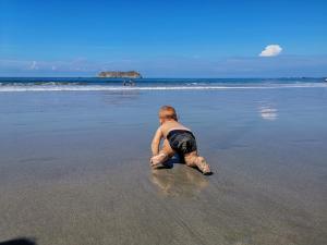 Jungle Beach Hotel Manuel Antonio,Manuel Antonio National Park>>Manuel Antonio,3 star