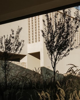 amente mindful suites