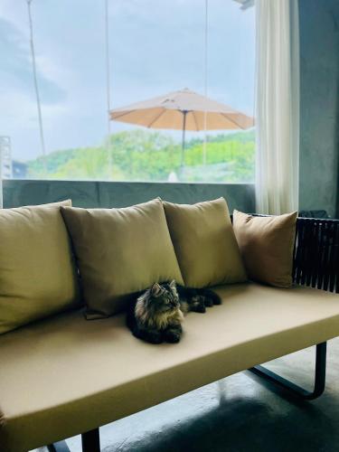 baba boutique house langkawi