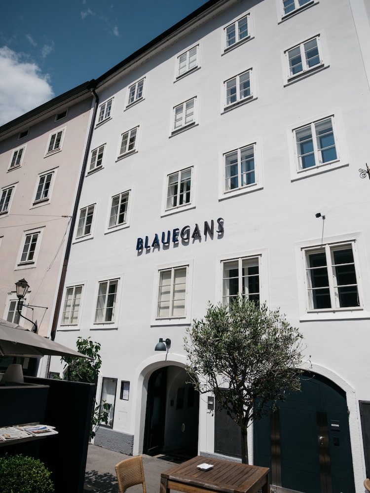 arthotel blaue gans