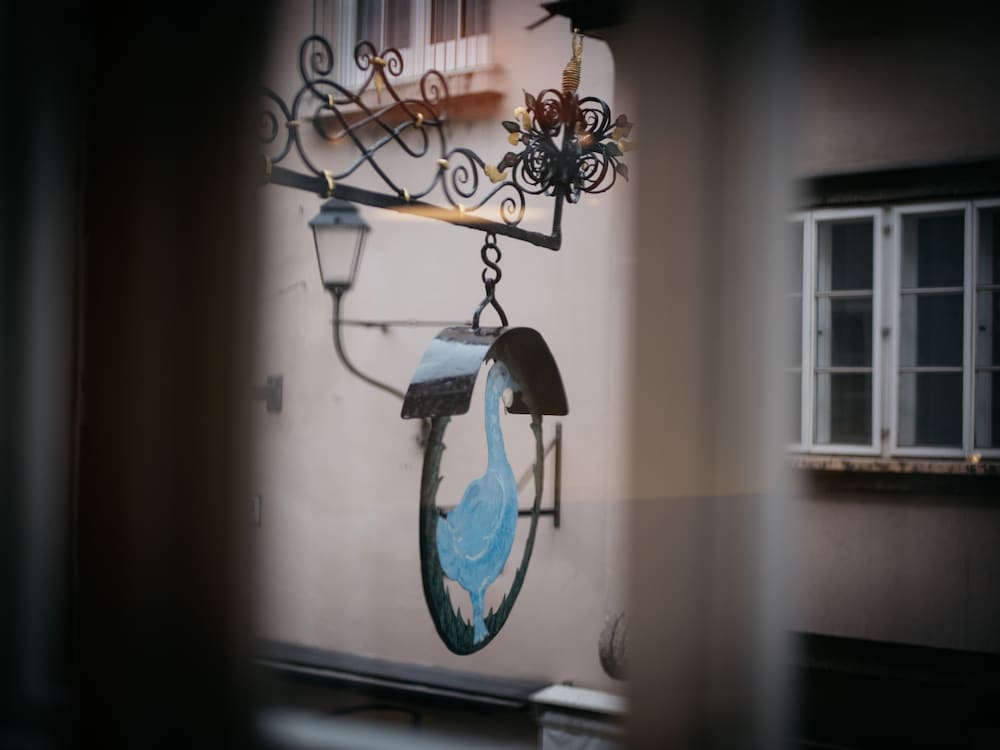 arthotel blaue gans