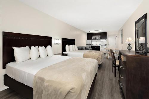 eden roc ocean front