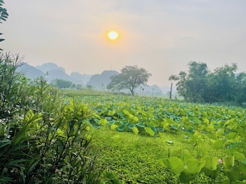 tam coc holiday retreat
