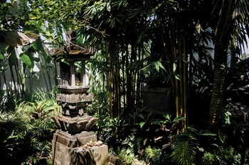 sundhara view ubud