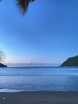 el nido