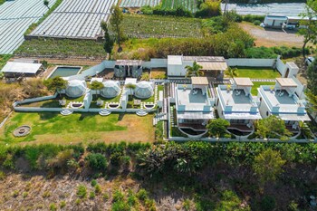 pulestis glamping