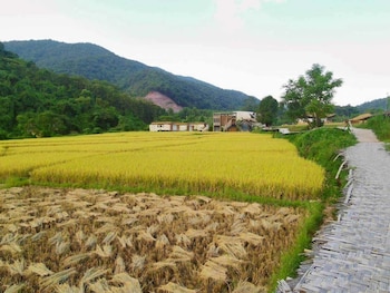 lomhaijai homestay