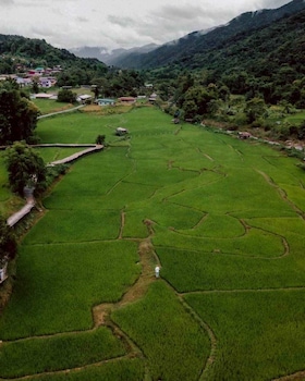 lomhaijai homestay
