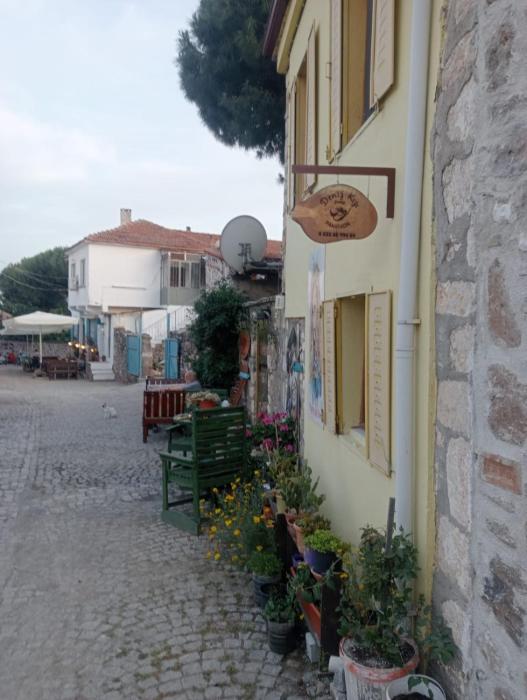 denizkizi sevilay pansiyon