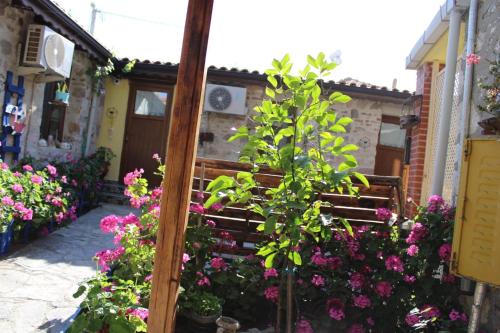 denizkizi sevilay pansiyon
