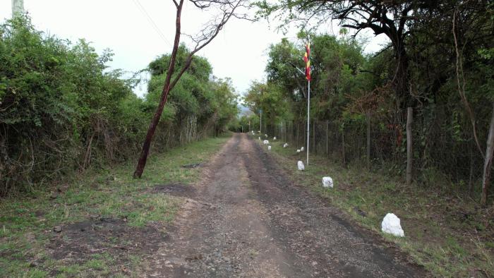 bayside resort lake victoria