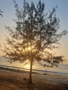 sea view villa