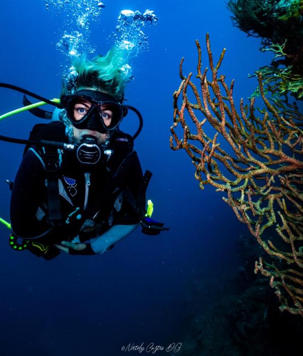 ocean lovers taganga dive centerand hostel