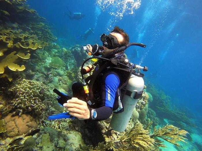 ocean lovers taganga dive centerand hostel