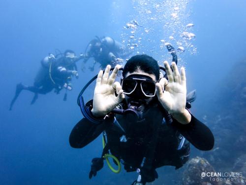 ocean lovers taganga dive centerand hostel