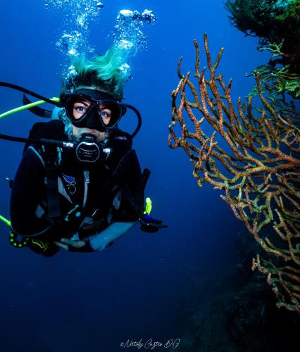 ocean lovers taganga dive centerand hostel
