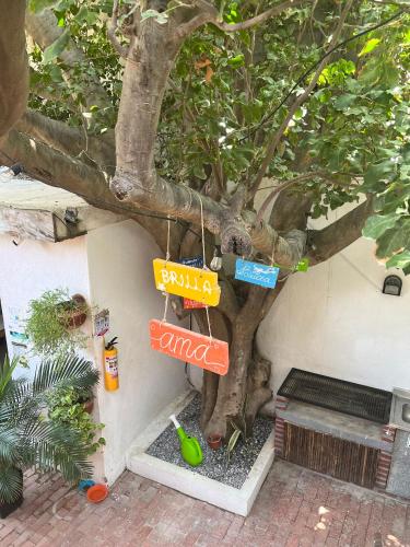 ocean lovers taganga dive centerand hostel