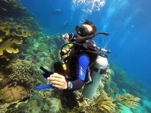 ocean lovers taganga dive centerand hostel