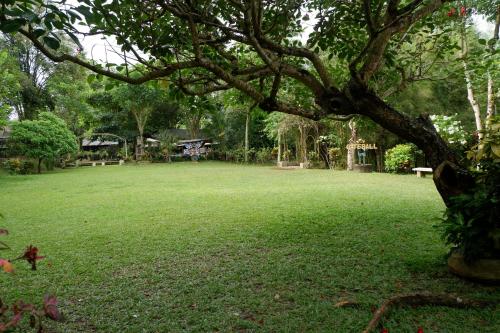 omah kebon guest house