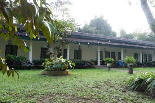 omah kebon guest house
