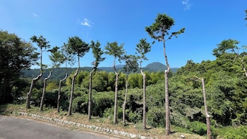 izu kogen tent resort