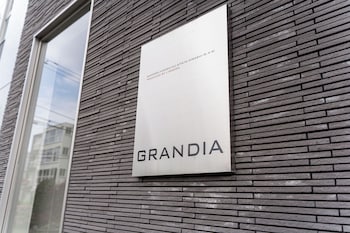 grandia 401
