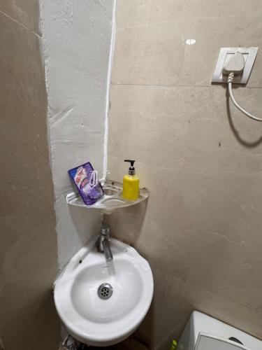 urban ease homestay