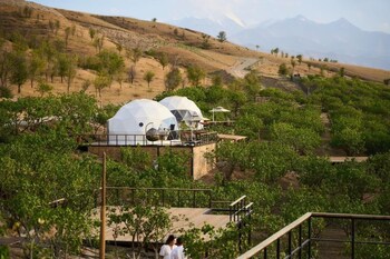 ecohouse glamping by art hotel