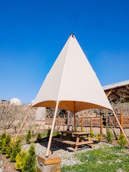 ecohouse glamping by art hotel