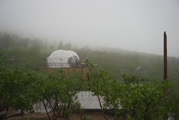 ecohouse glamping by art hotel