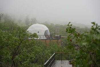 ecohouse glamping by art hotel