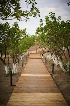 ecohouse glamping by art hotel