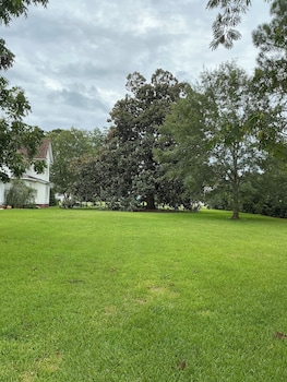 magnolia house bed and breakfast