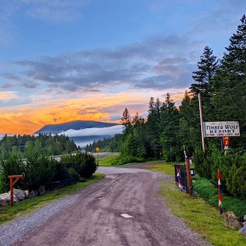 timber wolf resort and jeep rentals