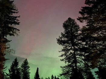 timber wolf resort and jeep rentals