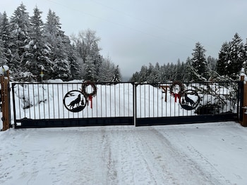 timber wolf resort and jeep rentals