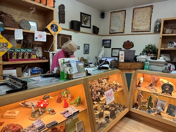 timber wolf resort and jeep rentals